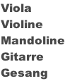 Viola Violine Mandoline Gitarre Gesang